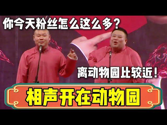 【相声开在了动物园】岳云鹏：你今天粉丝怎么这么多？孙越：离动物园比较近！| 德云社相声大全 | #郭德纲 #于谦 #岳云鹏 #孙越 #张鹤伦 #郎鹤炎 #高峰 大收录，助眠相声