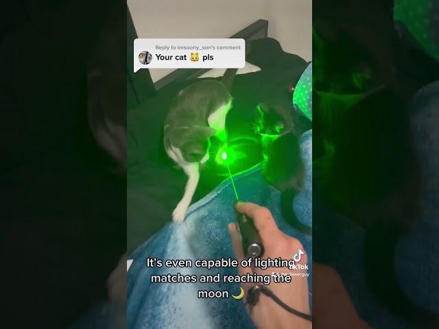 Cat Vs Laser