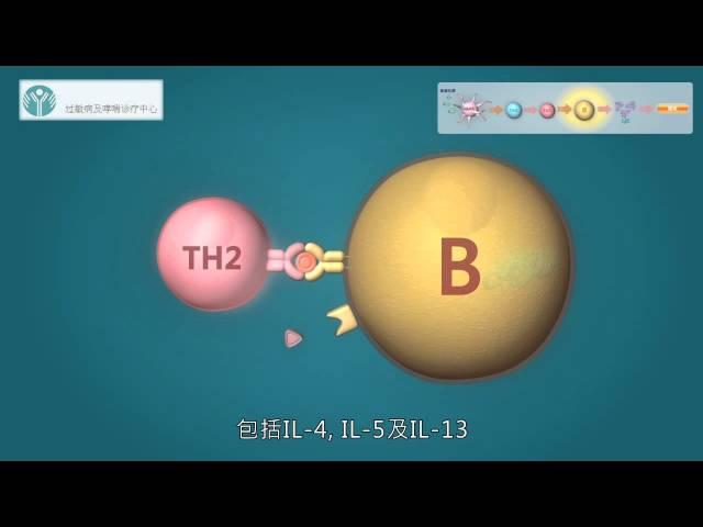 过敏症, 过敏症状, 鼻敏感, 过敏性咳嗽, 过敏性结膜炎