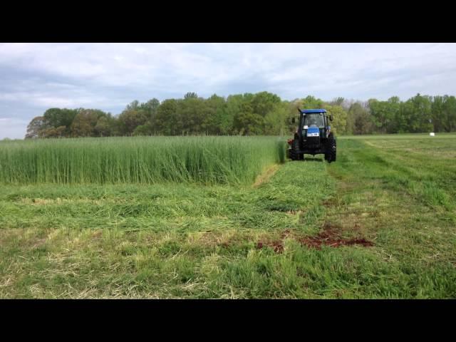 New Holland H7230 Discbine Disc Mower Conditioner 2013 NC Hay Day