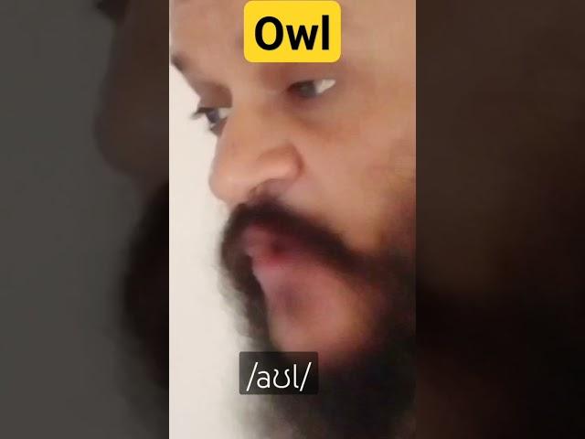 Owl: Correct Pronunciation