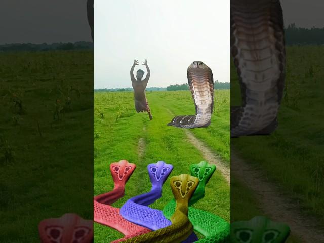 Kamakhya Devi snake aya hara hara Shambhu#Bachalo masan baba#kedarnath#Vfxshrot#vdeio