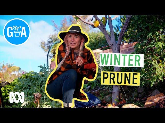 Crucial Winter Fruit Tree Pruning | Gardening 101 | Gardening Australia