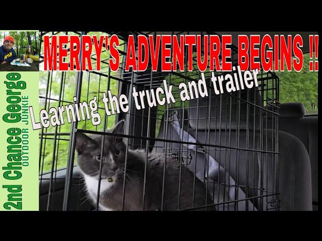 My Cat Merry's Epic Camper Adventure Begins