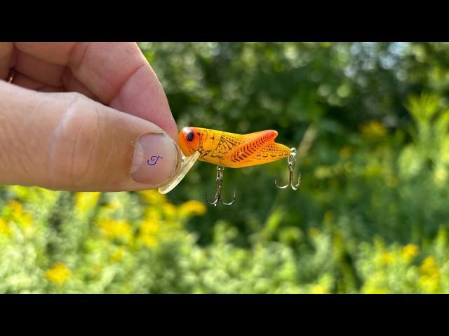 Grasshopper Fishing Lure INHALED BY MONSTER SMALLMOUTH