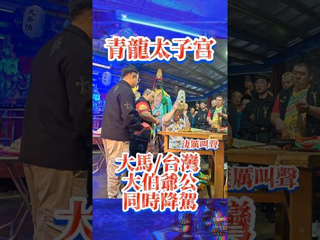 台灣奇乩！凄厲叫聲中，大馬、台灣大伯爺公同時降駕！大二伯爺過生日，板橋青龍太子宮慶祝法會，迷你夜市免費吃、玩，大馬原汁原味躺棺，補財庫改運排到大馬路 #七爺 #shorts #rells #馬來西亞