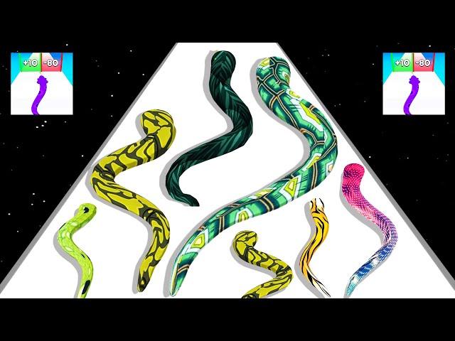 Snake Run Evolution - Level Up Snake Max Level Gameplay