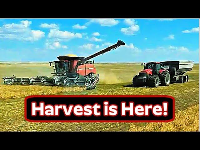 They'll Never Know!  (Video 1 of Harvest 2024)