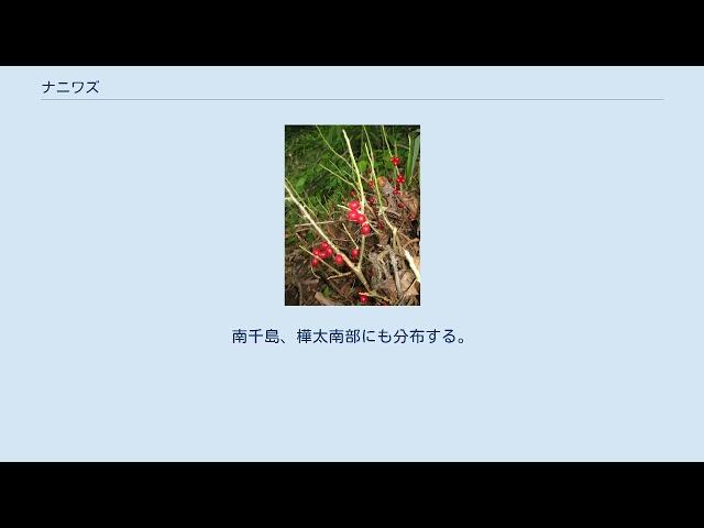ナニワズ