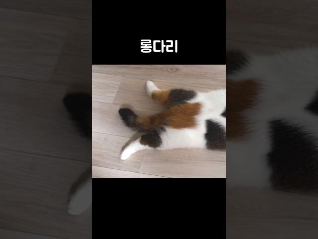 롱다리 미묘 전삼방