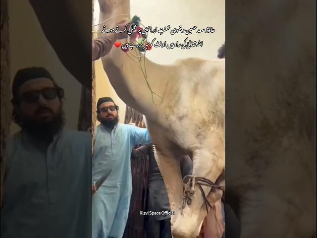 Hafiz Saad Hussain Rizvi Qurbani | Latest | حافظ محمد سعد حسین رضوی