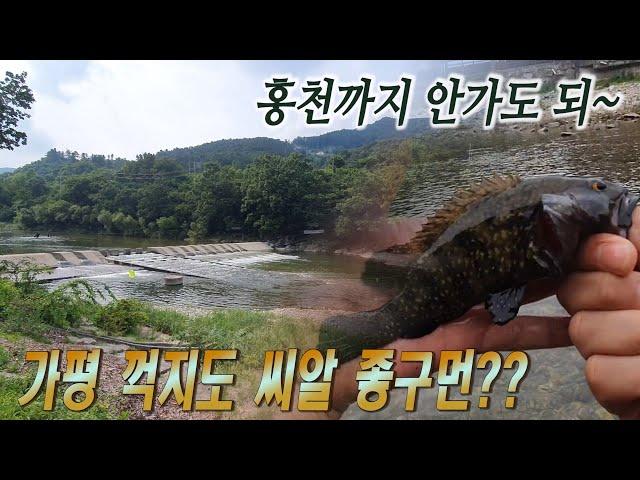 서울 근교 가평 숨은 꺽지 포인트 2곳 탐사!! Korean aucha perch fishing 