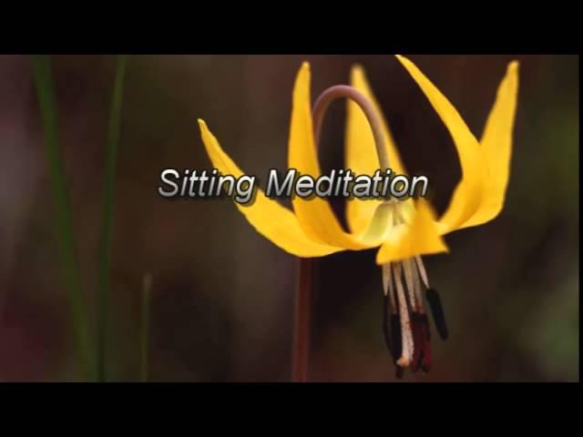 MBSR Sitting Meditation