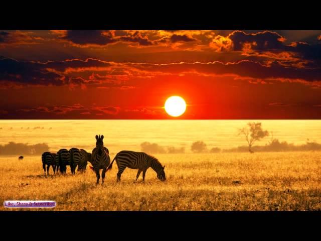 African Music | African Savannah | Relax, Study & Ambience