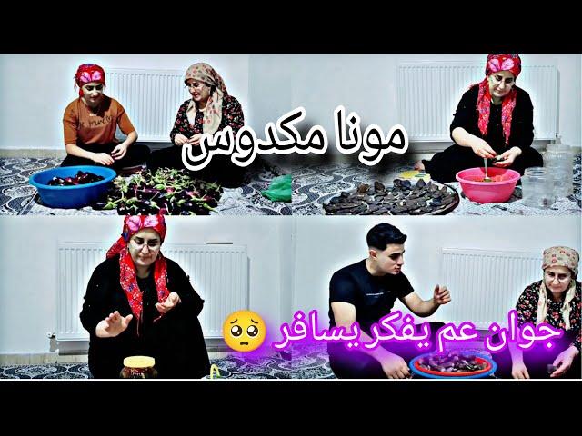 جوان عم يفكر يسافر// مونا مكدوس ️