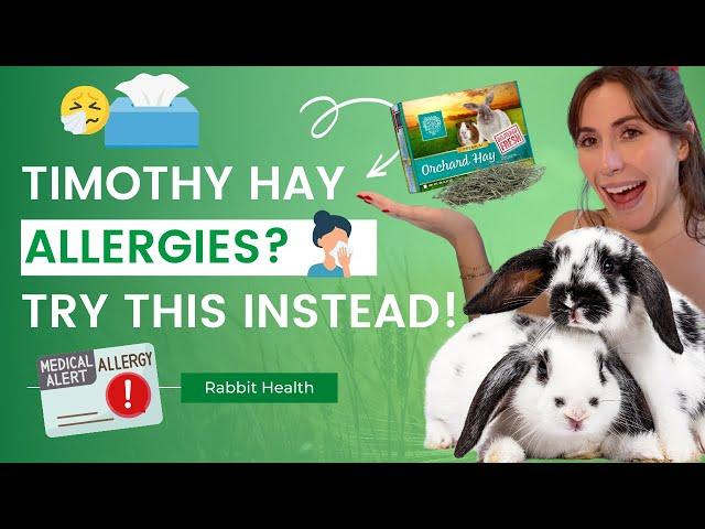 Timothy Hay Allergy? Here's The Hay to Feed Your Rabbit!