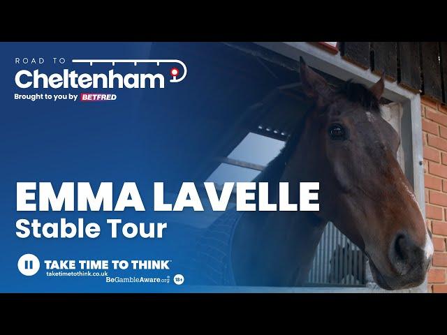 Emma Lavelle Stable Tour - Paisley Park latest Cheltenham 2024