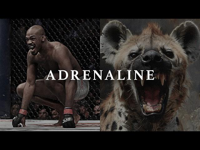 ADRENALINE - Best Motivational Speeches