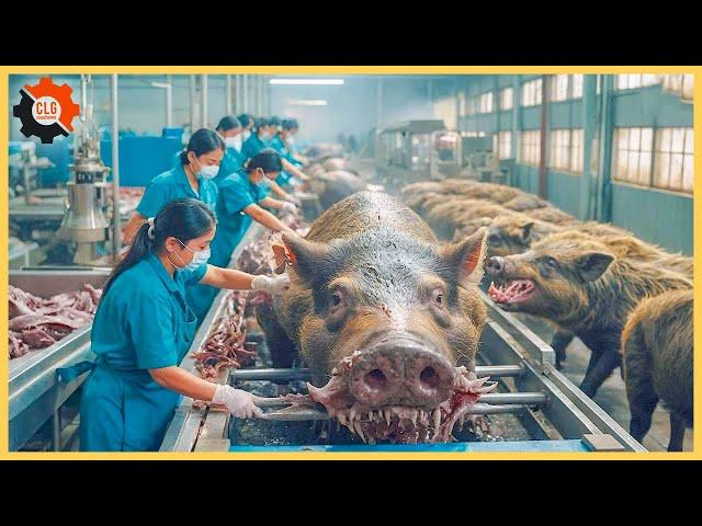 How does a modern pork factory in Germany work? | Food Industry Machines ▶169