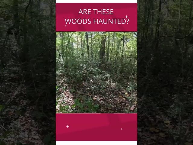 FULL VIDEO ON https://youtu.be/B36zD4gN5BI #haunted #woods #scary