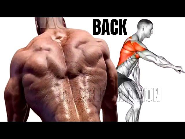 5 BEST BACK  WORKOUT AT GYM / LES MEILLEURS EXERCISES MUSCULATION DOS