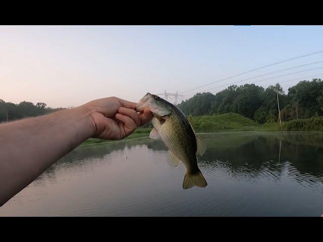 Bass Fishing Glen Springs Lake