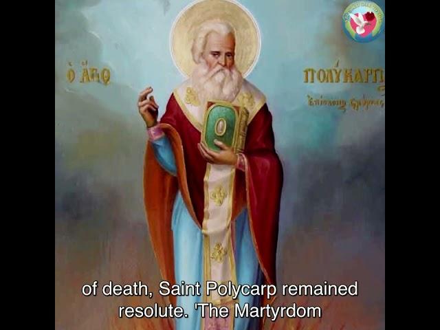 Saint Polycarp Story