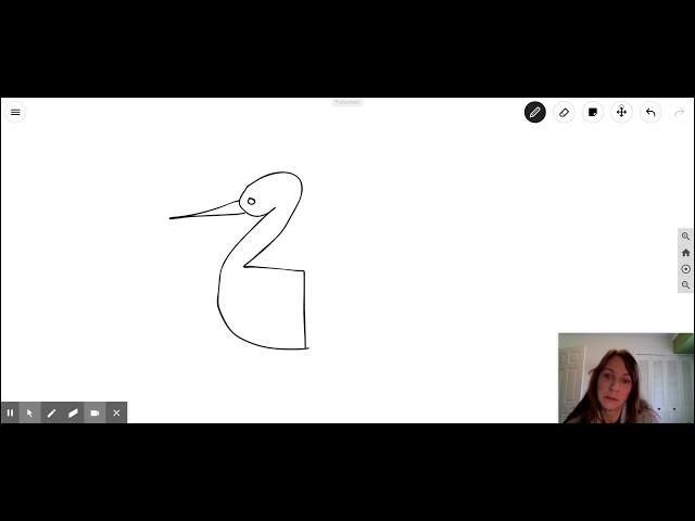 Crane Video
