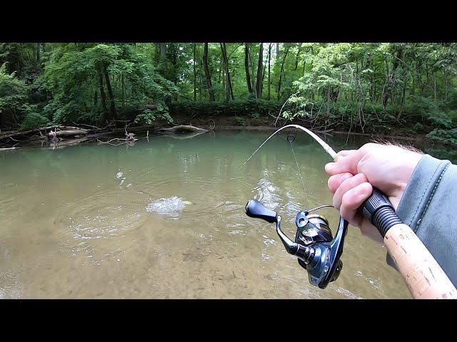 TROUT Fishing with Spinners (Brown, Brook, Rainbow)