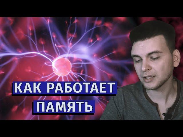 Как работает наша память? Как запоминать информацию и улучшить память