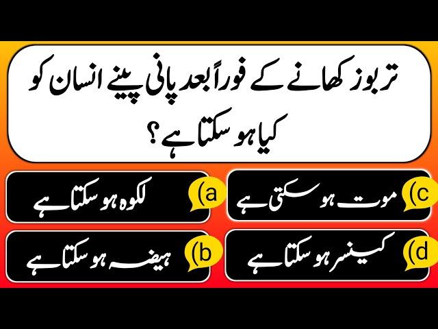 Top 20 islamic paheliyan || paheliyan with answer in urdu | islamic common sense / YT Brain Pro