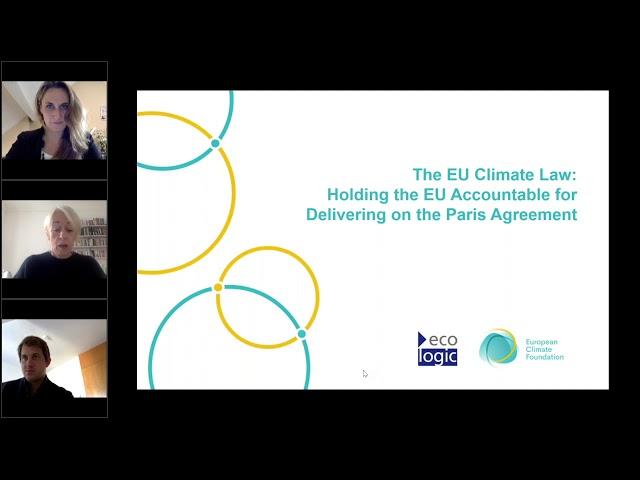 The EU Climate Law: Holding the EU Accountable for Delivering on the Paris Agreement