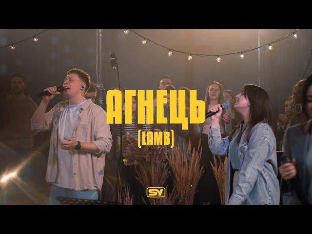 Агнець | Lamb - Tiffany Hudson | Elevation Worship | SY Worship