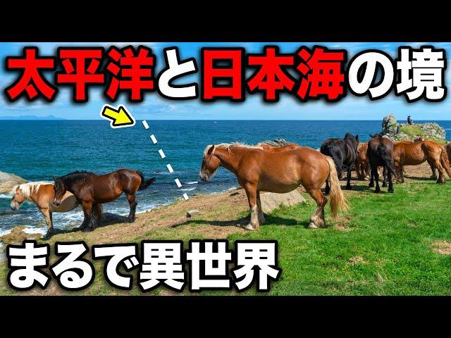 太平洋と日本海の”境目”に行ってきた！超意外な場所にあった