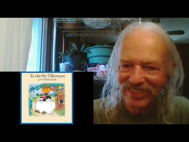 Cat Stevens  Where Do The Children Play  REACTION