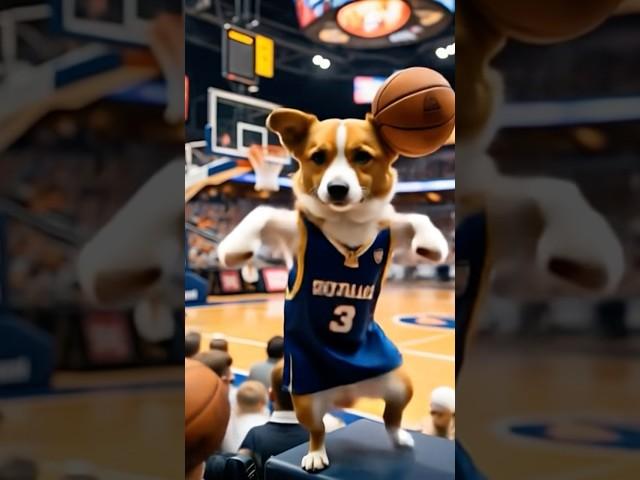 NBA DOG GOES OFF WITH INSANE HOOPS SKILLS #BasketballDog #NBADog #PetShorts #WagWiggleDaily #dance