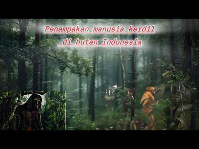 Legenda manusia kerdil di hutan Indonesia