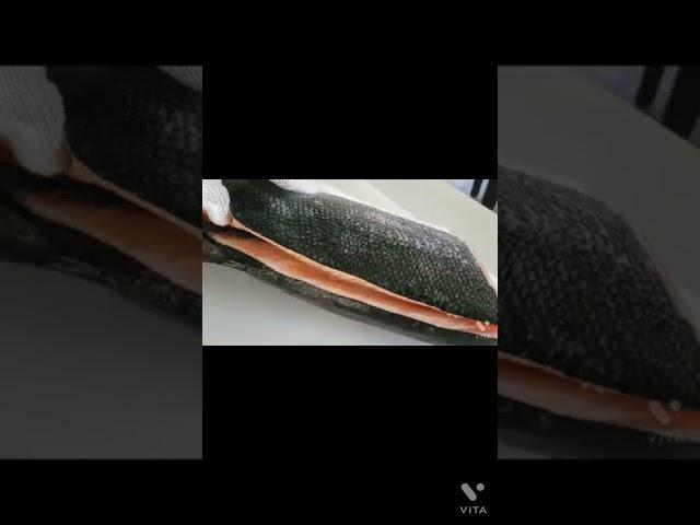신선한 연어 회 뜨기. Fresh salmon Fillets. https://www.youtube.com/watch?v=dGvTjZtA1IQ