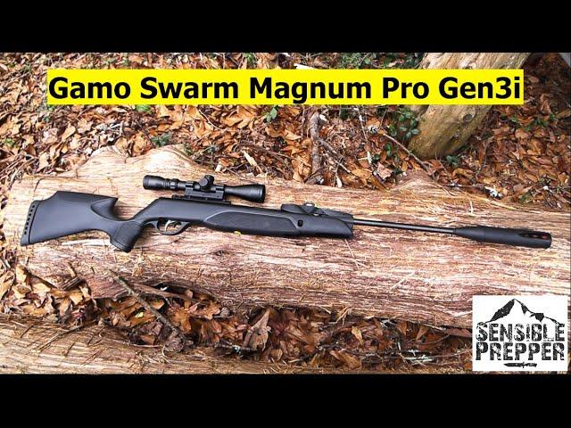 Gamo Swarm Magnum Pro Gen3i 10X Air Rifle Review : Excellent SHTF Choice