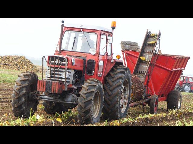 Special Built Massey Ferguson 178 4WD Tractor Harvesting Beets