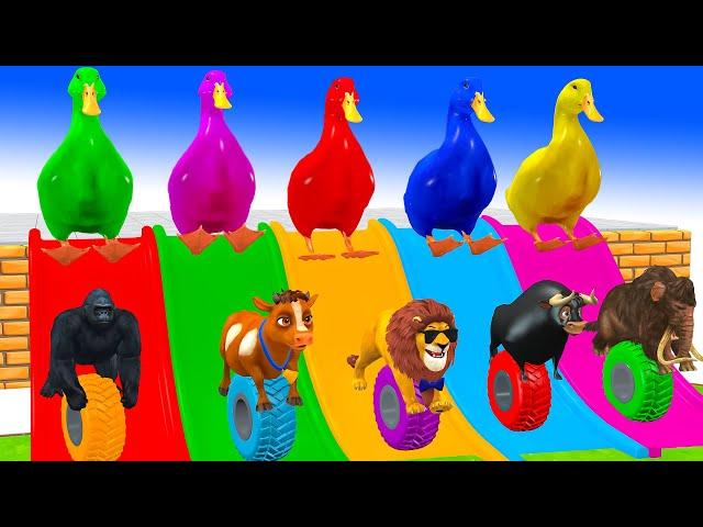 5 Giant Duck Cartoon, Cow, Elephant, Lion, Gorilla, Ferdinand Transfiguration Funny Animals 2024