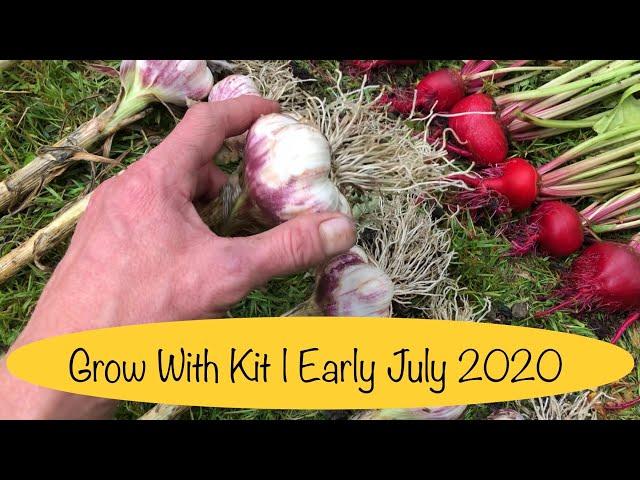 Dario French Garlic Harvest | Veg Garden Tidy Up | Episode 22 - 2020