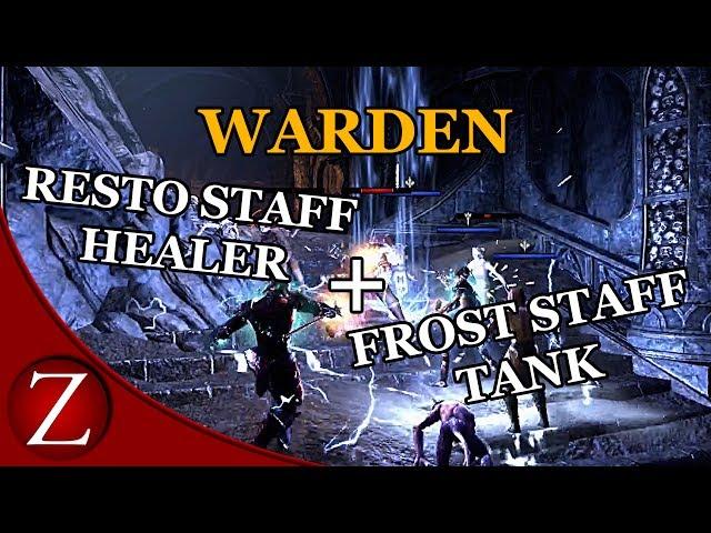Two In One Tank / Healer Warden - The Elder Scrolls Online: Morrowind