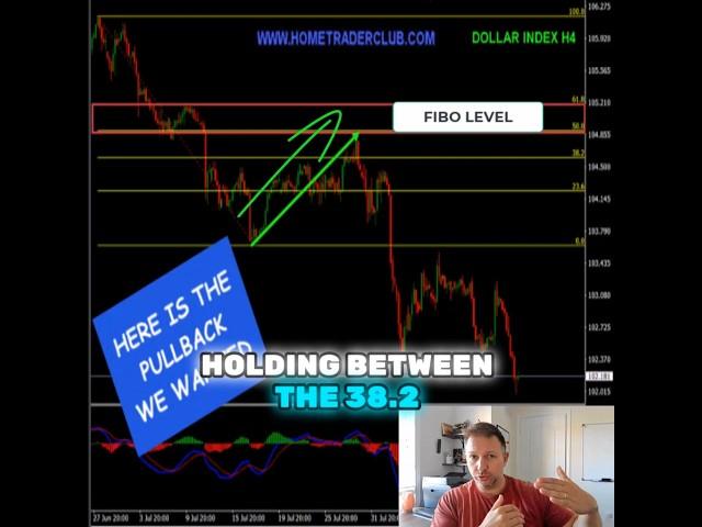 US Dollar Index Buy & Sell Trade Fully Explained #trading #forex #fxsignals #fyp #shorts