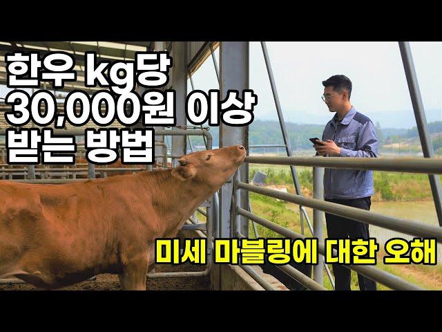 전국 1등 한 한우 농장이 알려드립니다 (미세 마블링, 육색/지방색)