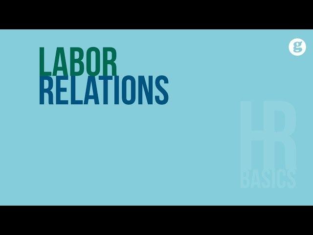 HR Basics: Labor Relations 2e