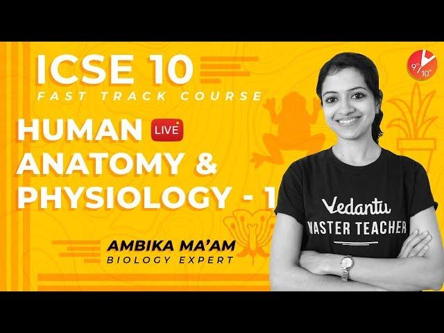 Human Anatomy and Physiology | Circulatory System and Excretory System | ICSE Class 10 | Vedantu