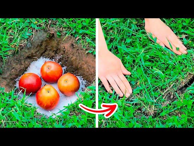 New Gardening Hacks That Will Blow Your Mind || Growing Hacks For Plant Lovers