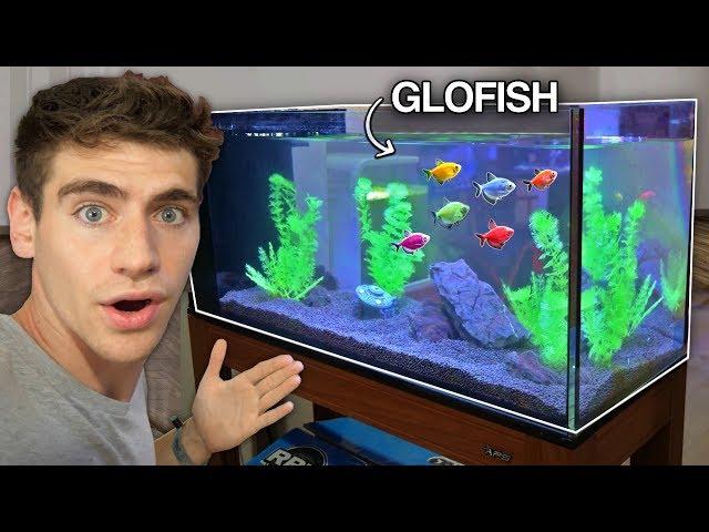 *NEW* GLO-FISH AQUARIUM!!