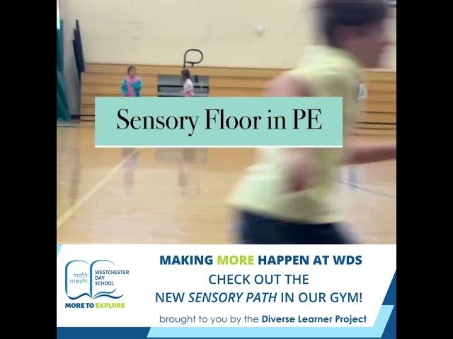 WDS showcase the new sensory floor in P.E